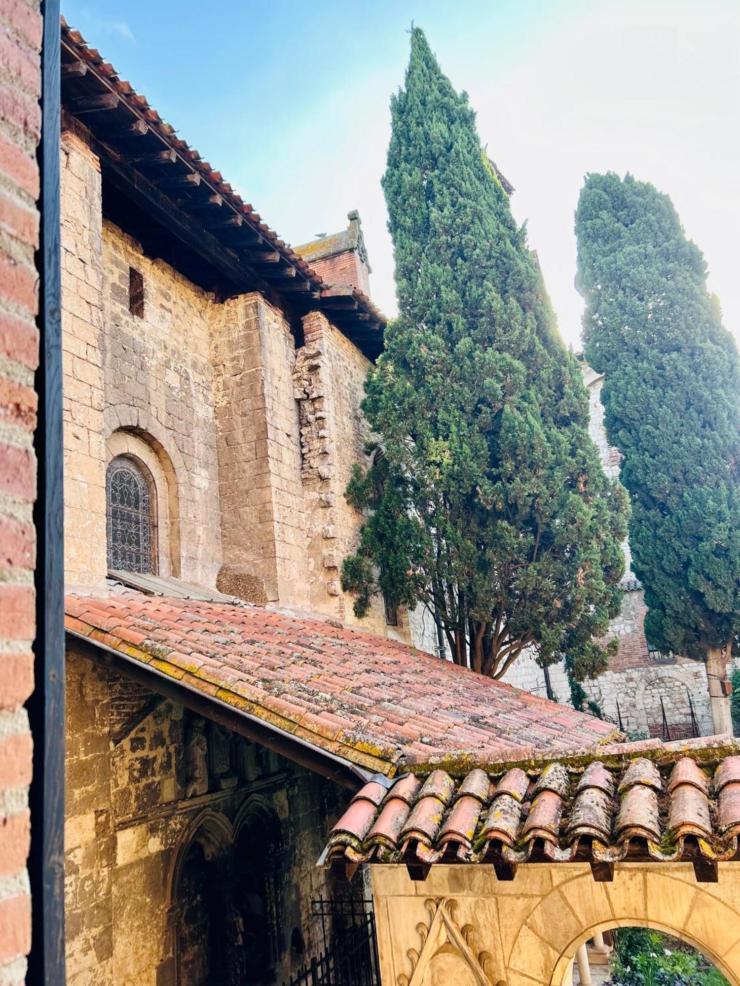 La Maison Du Prevot 阿尔比 外观 照片