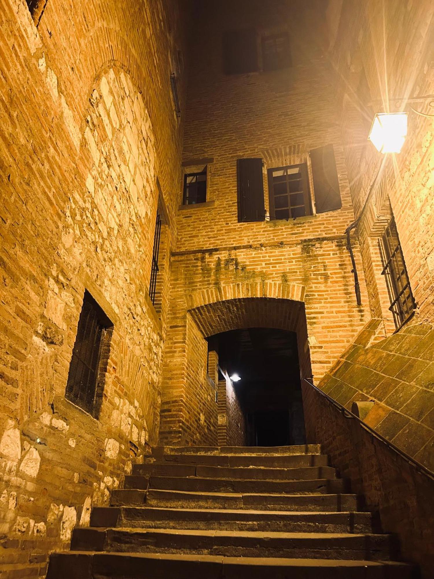 La Maison Du Prevot 阿尔比 外观 照片