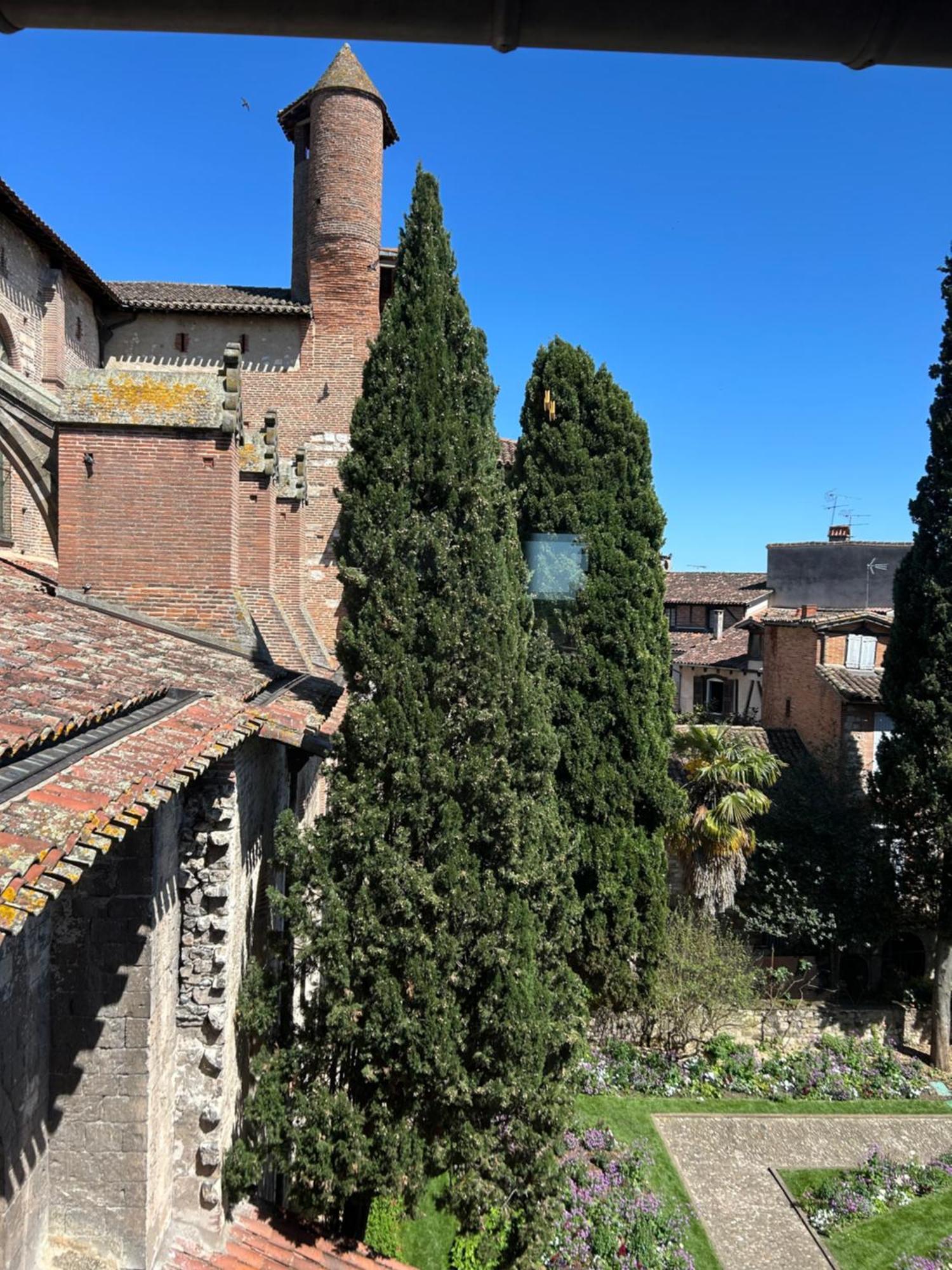 La Maison Du Prevot 阿尔比 外观 照片
